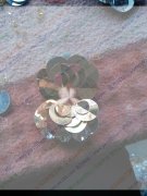 承接各种手工针线手工活，专业技术，请您放心。