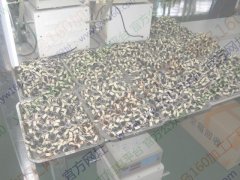 大型监狱 承接各种 手工活 毛绒玩具加工 电子线圈 电子组装