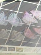 我家需要薄纱蝴蝶翅膀，如图