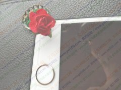 有图，找这个花的生产厂家