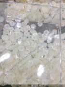 看图，找有做这种贝壳的厂家