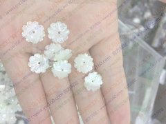 看图，找有做这种贝壳的厂家