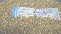 专业加工 管钻（一支花）包边封口