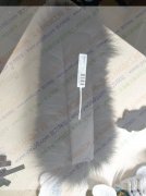 需找有做这种拍拍圈的厂家