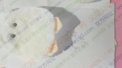 现找做毛绒零钱包的工厂，有图