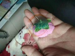 有会组装这种塑料花的加工厂吗？