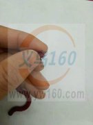 找专业拆卸网链组装网链的手工加工厂