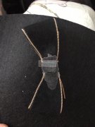 有图，找加工索过链条的工厂