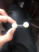 求购下图珍珠十二大