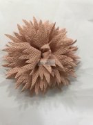 如图，找仿真花，花片定型加工厂