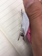 求购普通鸭嘴夹，尺寸如图