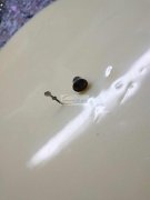 求购下图这个配件