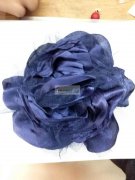 谁家有下图这种花