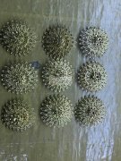 看图，求机器点钻加工厂