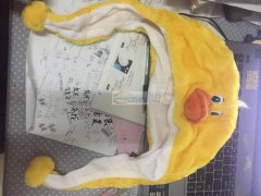 如图，有会做这种动物帽子的工厂吗