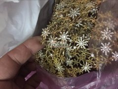 如图所示，手镶外发