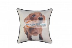 专业承接抱枕类家纺产品和T恤图案印制