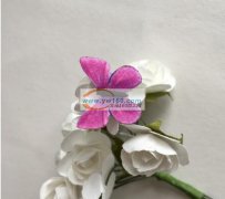 求购下图布艺蝴蝶1.8cm左右