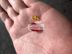 求购【如图】地球珠，找专业做的工厂，量大