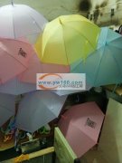 承接丝印移印，加印Logo，印花制版，价