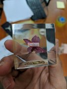 树脂内埋干花镇纸 2000个 后续还有