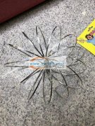 魔术手环厂家现货供应1515899525