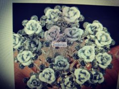 【如图】多款产品外发，找做这类产品的厂家