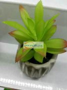 寻能做【如图】这款仿真花的厂家，量大，价