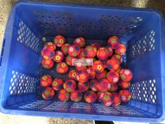 【视频】手工活寻找廿三里大陈苏溪方向加工厂合作