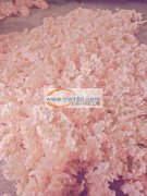 本工厂长期承接仿真花加工，现有40余人团