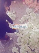 本工厂长期承接仿真花加工，现有40余人团