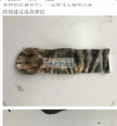 5万双数码印花外发，【看图】，寻找数码印