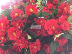 各种假花加工，有工人40名。两年代加工经