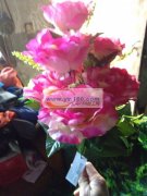 各种假花加工，有工人40名。两年代加工经