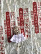 【如图】寻求用胶枪粘布的加工厂，现有一批