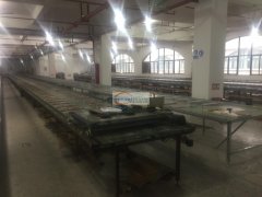 承接丝网印花服装 栽片。抱枕。
