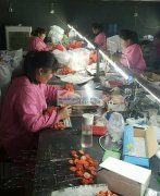 大量承接手工组装加工，焊接加工外发订单，