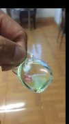有没有能做【如图】这个塑料产品的厂家，量