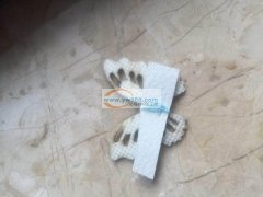 【如图】蝴蝶外发加工，找能做的加工厂，最