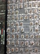 现有大量样品处理，因店面转型，全部是外贸
