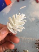 《实单》寻找生产如下图产品厂家，塑料松子