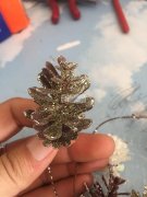 《实单》寻找生产如下图产品厂家，塑料松子