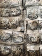 如图产品处理，数量1000打，有需要的请