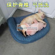 本厂现有大量简单的狗窝外发《如图》寻找人