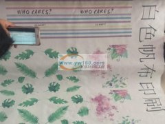 数码打印，皮革，箱包日用品，装饰画芯高精