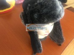 本厂专业生产手套、帽子、围巾、披肩三角巾