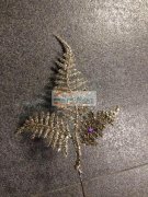 《如图实单》寻找下图塑料叶子，叶子毛胚即