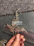 《如图实单》寻找下图塑料叶子，叶子毛胚即