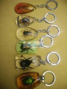 专业生产，树脂配件，虫珀，琥珀钥匙扣<b