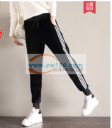 各种打底裤 运动裤 阔腿 毛呢 金丝绒现货批发 女裤加工定制